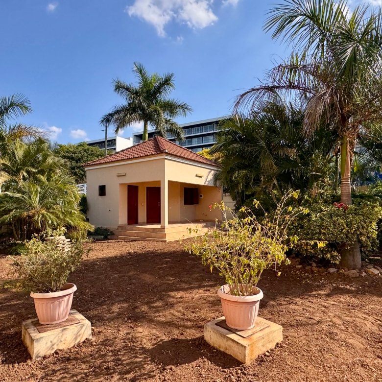🏡 EM ARRENDAMENTO | MORADIA NOVA SUPER LUXUOSA T5 ✨