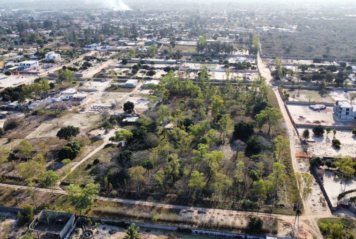 Lotes de 900 m² à Venda em Cumbeza – Próximos da EN1
